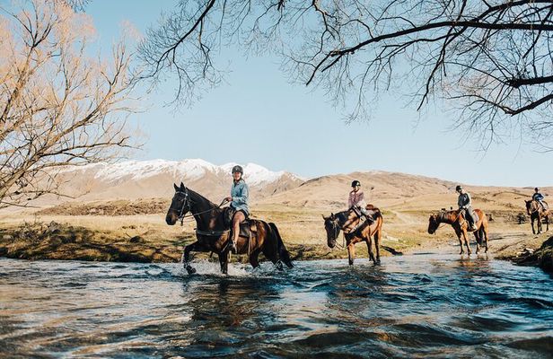 Gold Discovery Trail Horse Trek Cardrona - Most popular!
