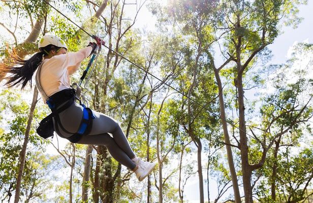 High Ropes and Zipline Adventure - Adrenaline Pass