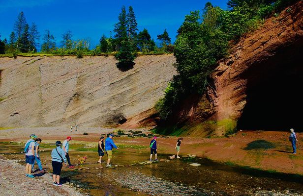 Bay Of Fundy Guided Tour