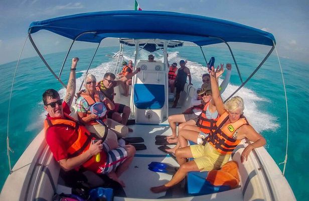 Swim with Whale Shark from Cancun