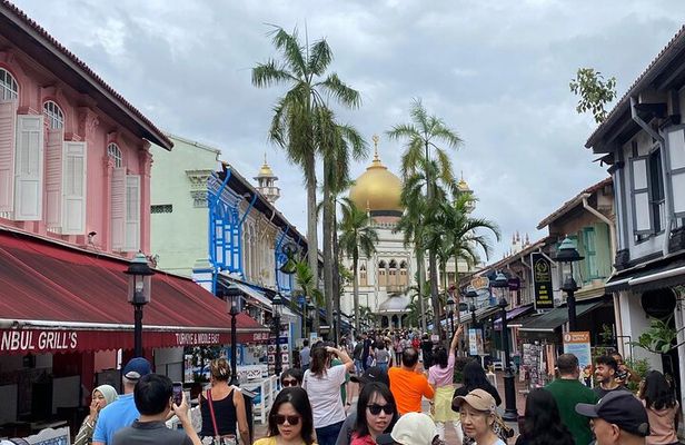 Big Bus Van Singapore City Tour 4 Hours ( Max 8 people) 