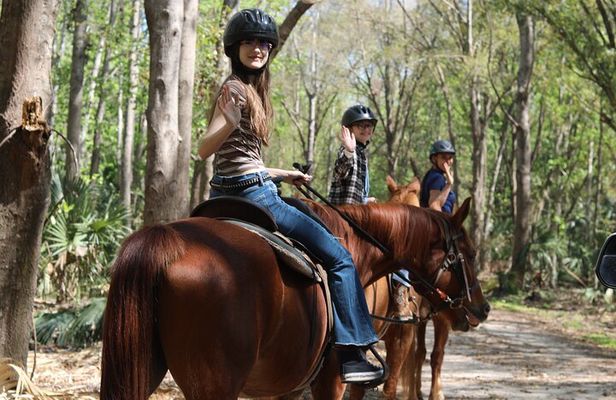 1 Hour Guided Horseback Trail Ride Rock Springs Run State Reserve