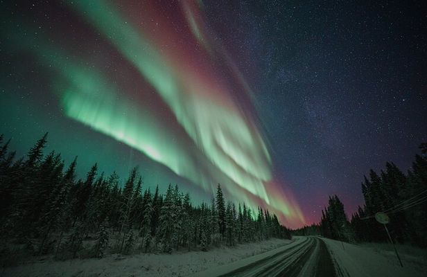 Rovaniemi: Northern Lights Family Tour by Bus with Photos