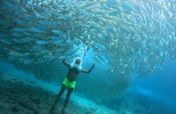 Sea Trek Underwater Walk in Tenerife – No Swimming Required