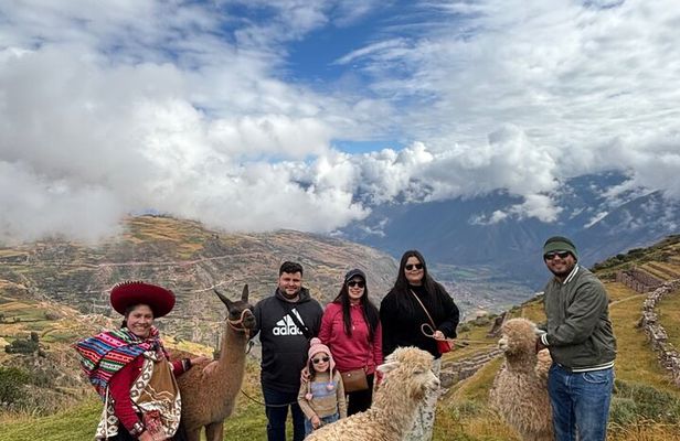 Alpaca Walk over the Sacred Valley of the Incas from Cusco