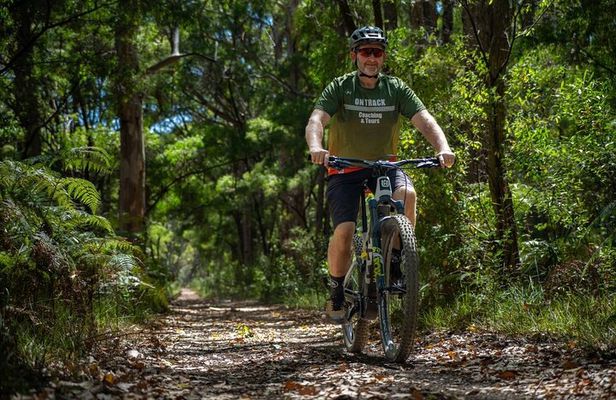 Half Day Wadandi Track Scenic E-Bike Tour