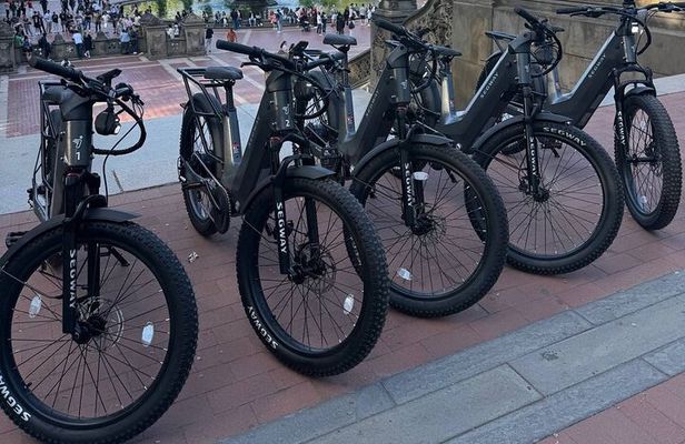 Guided Electric Bike Tour of Central Park in New York City