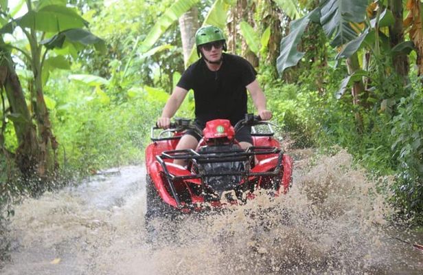 Bali ATV Quad Bike Monkey Forest Jungle Swing with Lunch