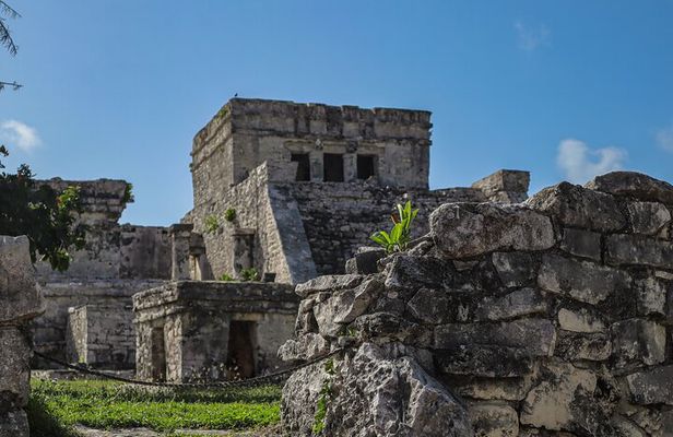 Tulum Ruins, Turtles in Akumal and Cenote tour