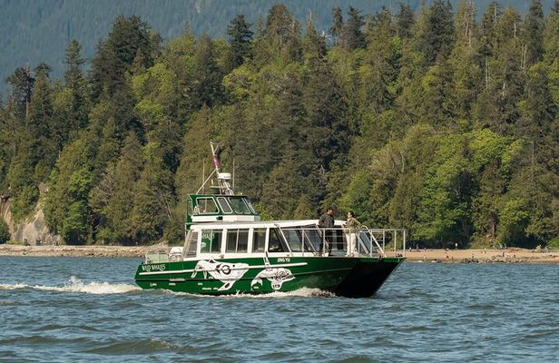 Intimate West Coast Whale Watching - Partly-Sheltered