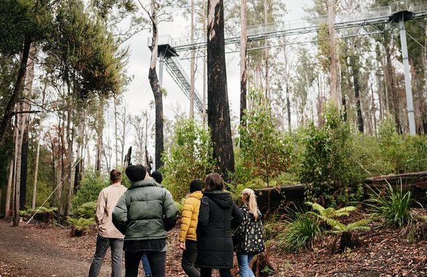 4 Day Bundle - Hobart, Port Arthur, Bruny, Hastings and Tahune