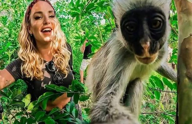 Zanzibar :Jozani Forest ,and Sea Turtles Sanctuary tour