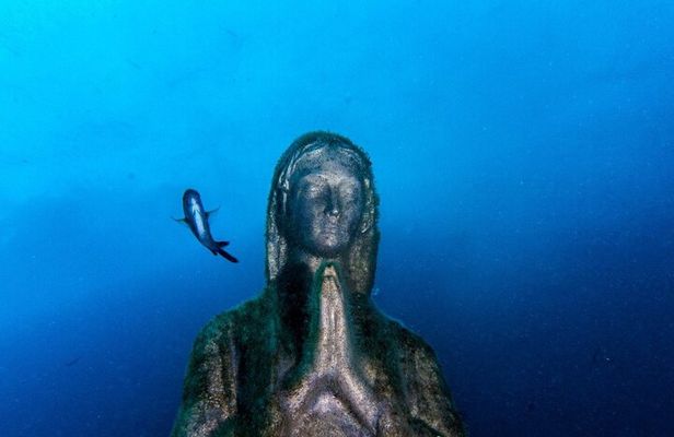 Double dive in the Punta Campanella Marine Protected Area