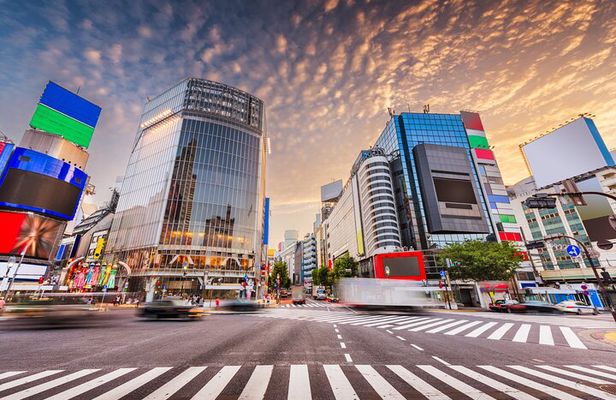 Afternoon Small Group Tour in Tokyo