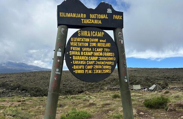 Shira route Kilimanjaro Day Trip via Lemosho route