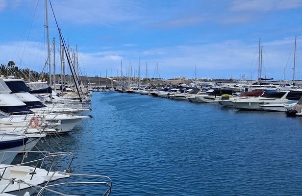 Gran Canaria Sunset Dolphin Watching Activity