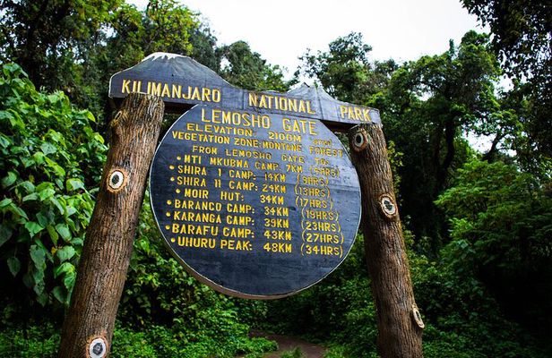  8 Days Mount Kilimanjaro Lemosho Route
