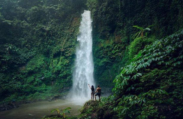 Discover The Best of Ubud: All-Inclusive and Private Guided Tour