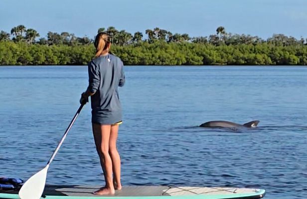 Paddle With Native Wildlife