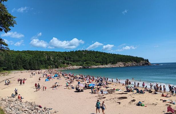 Acadia Woody's "Utmost Coast" 3 Hour Driving Tour