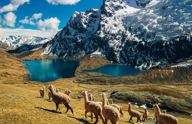 Explore Ausangate Mountain Like Never Before Quad Tour