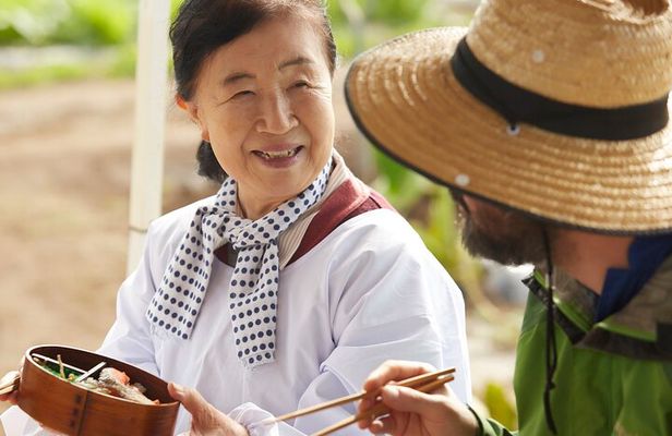 Home Cooking with a Local Host (Optional Shiba Inu Picnic)