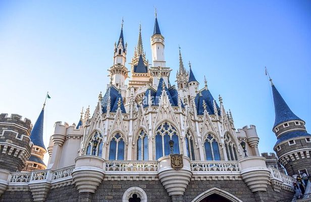 Private Tokyo Disneyland/DisneySea Tour with Car Transportation
