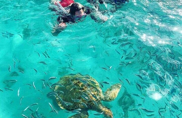 Mauritius North Tour and Turtle Snorkeling