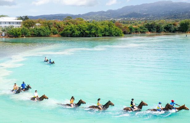 Horseback Ride/Swim and Blue Hole Falls Tour