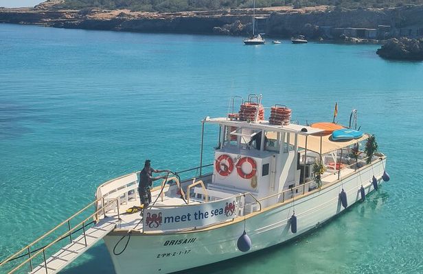Meet the Sea: Family Boat Trip Express