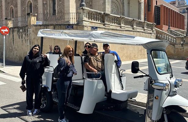 2 Hour Madrid City Expert Tour 