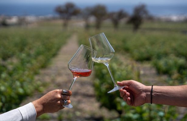 Volcanic Elegance- 2 Winery Tour with Wine Tastings & snacks