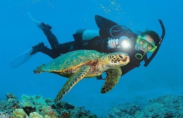 Kemer Scuba Diving and Snorkeling Trip