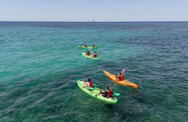 Kayak and Canoe tour in Leuca and the Ponente Caves