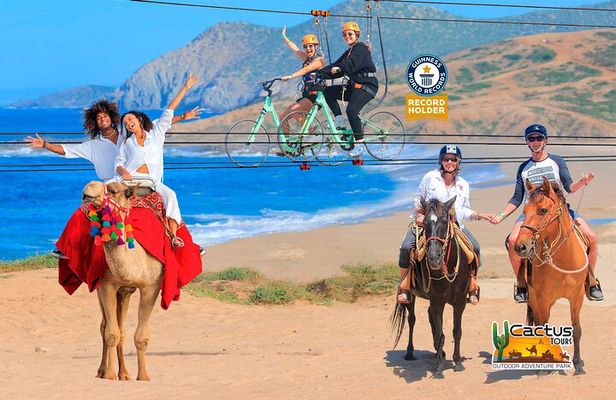 Sky Bike Free Camel Ride and Horseback Riding