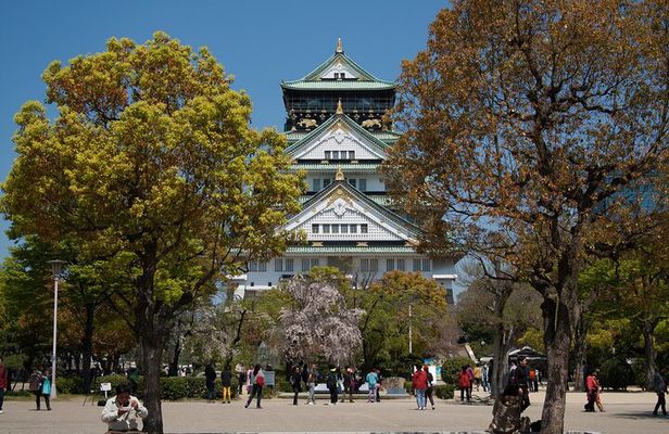 Osaka Customized Half-Day Tour with English-Speaking Guide