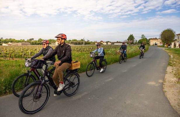 Bordeaux Wine Trails: Saint Emilion Full Day Wine and Bike Tour 