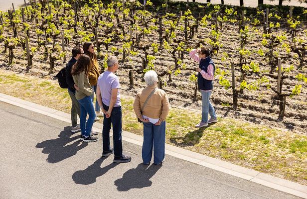 Médoc Afternoon Wine Tour | Margaux Châteaux & French Aperitif