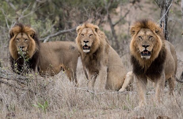 7 Day Tour in Kenya National Parks