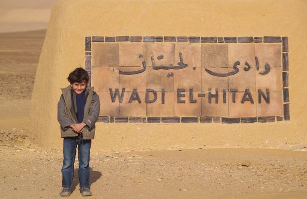Private Tour To Fayoum Oasis and Wadi Al Rian From Cairo
