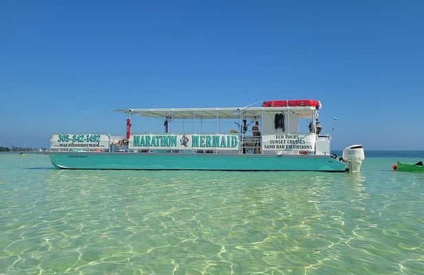 Sandbar Adventure