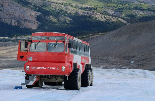 Columbia Icefield Bow Lake Peyto Lake Day Tour