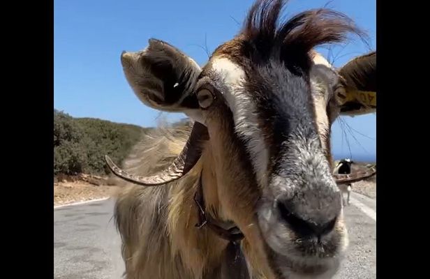 Luxury Off-Road Safari Adventure in Crete