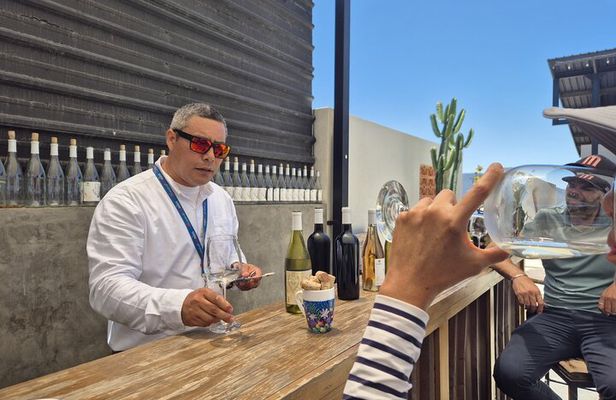Cooking Class and Margarita Madness at Valle de Guadalupe 