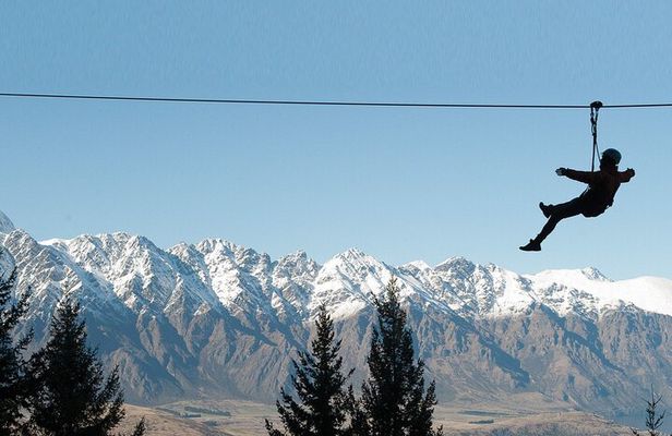 Zip and Sip Ziplining and Wine Tour Combo