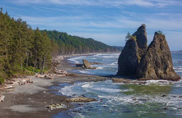 From Seattle Private Hoh Rain Forest and Rialto Beach Tour