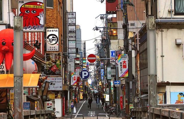 Osaka City Cherry Blossom Private Sightseeing Tour