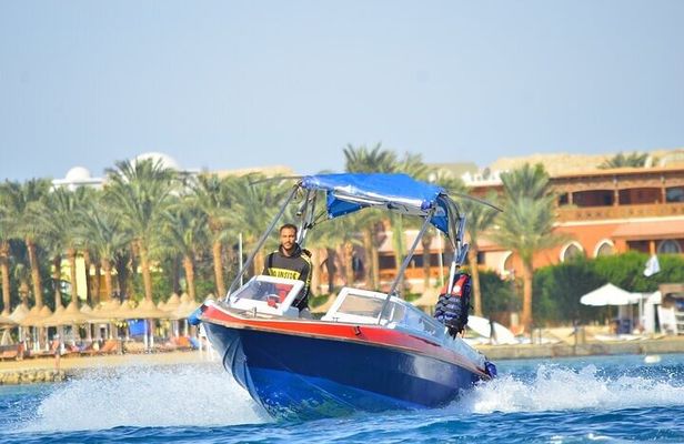 Swim with Dolphins Semi Private Speedboat Sea Tour - Hurghada