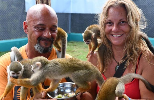 Monkey Home Puerto Plata Countryside Tour