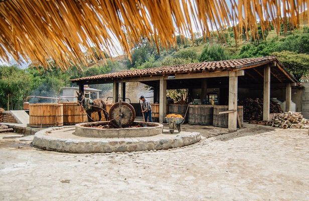 Tour Mezcalero with the best selling brand in Oaxaca